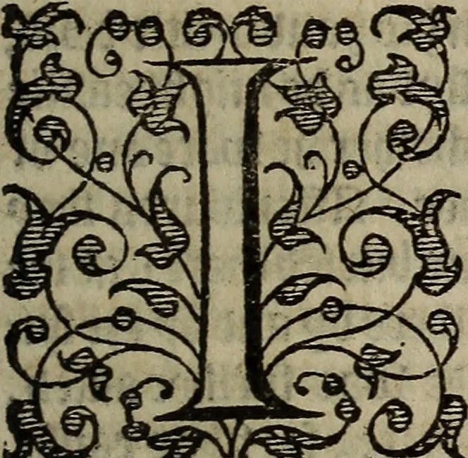 An illustration from The discouerie of witchcraft, : wherein the lewde dealing of witches and witchmongers is notablie detected, the knauerie of coniurors, the impietie of inchantors, the follie of soothsaiers, the impudent falshood of cousenors, the infidelitie of atheists, the pestilent practices of Pythonists, the curiositie of figure casters, the vanitie of dreamers, the beggerlie art of alcumystrie, the abhomination of idolatrie, the horrible art of poisoning, the vertue and power of naturall magike, and all the conueiances of legierdemaine and iuggling are deciphered: and many other things opened, which have long lien hidden, howbeit verie necessarie to be knowne. : Heerevnto is added a treatise vpon the nature and substance of spirits and diuels, & c, 1584, leaf 472
