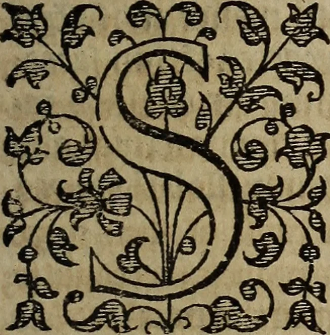 An illustration from The discouerie of witchcraft, : wherein the lewde dealing of witches and witchmongers is notablie detected, the knauerie of coniurors, the impietie of inchantors, the follie of soothsaiers, the impudent falshood of cousenors, the infidelitie of atheists, the pestilent practices of Pythonists, the curiositie of figure casters, the vanitie of dreamers, the beggerlie art of alcumystrie, the abhomination of idolatrie, the horrible art of poisoning, the vertue and power of naturall magike, and all the conueiances of legierdemaine and iuggling are deciphered: and many other things opened, which have long lien hidden, howbeit verie necessarie to be knowne. : Heerevnto is added a treatise vpon the nature and substance of spirits and diuels, & c, 1584, leaf 480