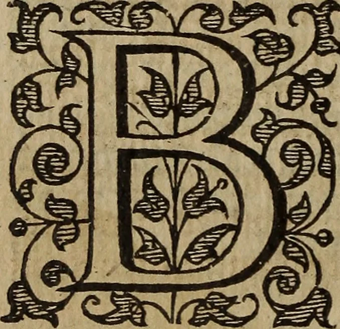 An illustration from The discouerie of witchcraft, : wherein the lewde dealing of witches and witchmongers is notablie detected, the knauerie of coniurors, the impietie of inchantors, the follie of soothsaiers, the impudent falshood of cousenors, the infidelitie of atheists, the pestilent practices of Pythonists, the curiositie of figure casters, the vanitie of dreamers, the beggerlie art of alcumystrie, the abhomination of idolatrie, the horrible art of poisoning, the vertue and power of naturall magike, and all the conueiances of legierdemaine and iuggling are deciphered: and many other things opened, which have long lien hidden, howbeit verie necessarie to be knowne. : Heerevnto is added a treatise vpon the nature and substance of spirits and diuels, & c, 1584, leaf 481