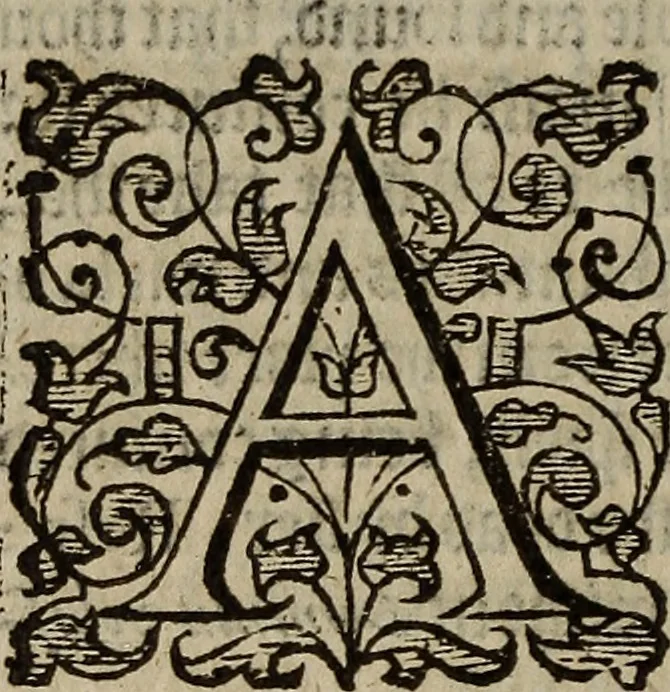 An illustration from The discouerie of witchcraft, : wherein the lewde dealing of witches and witchmongers is notablie detected, the knauerie of coniurors, the impietie of inchantors, the follie of soothsaiers, the impudent falshood of cousenors, the infidelitie of atheists, the pestilent practices of Pythonists, the curiositie of figure casters, the vanitie of dreamers, the beggerlie art of alcumystrie, the abhomination of idolatrie, the horrible art of poisoning, the vertue and power of naturall magike, and all the conueiances of legierdemaine and iuggling are deciphered: and many other things opened, which have long lien hidden, howbeit verie necessarie to be knowne. : Heerevnto is added a treatise vpon the nature and substance of spirits and diuels, & c, 1584, leaf 483