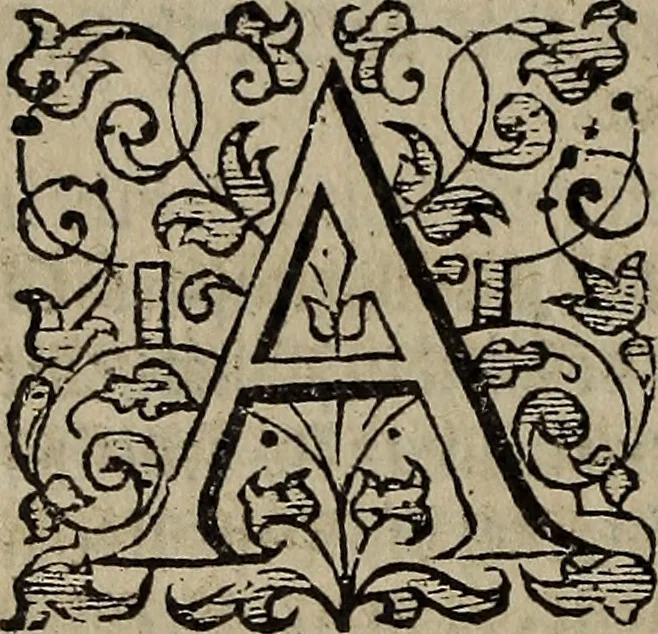 An illustration from The discouerie of witchcraft, : wherein the lewde dealing of witches and witchmongers is notablie detected, the knauerie of coniurors, the impietie of inchantors, the follie of soothsaiers, the impudent falshood of cousenors, the infidelitie of atheists, the pestilent practices of Pythonists, the curiositie of figure casters, the vanitie of dreamers, the beggerlie art of alcumystrie, the abhomination of idolatrie, the horrible art of poisoning, the vertue and power of naturall magike, and all the conueiances of legierdemaine and iuggling are deciphered: and many other things opened, which have long lien hidden, howbeit verie necessarie to be knowne. : Heerevnto is added a treatise vpon the nature and substance of spirits and diuels, & c, 1584, leaf 487