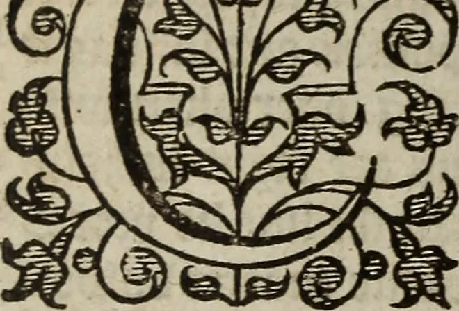 An illustration from The discouerie of witchcraft, : wherein the lewde dealing of witches and witchmongers is notablie detected, the knauerie of coniurors, the impietie of inchantors, the follie of soothsaiers, the impudent falshood of cousenors, the infidelitie of atheists, the pestilent practices of Pythonists, the curiositie of figure casters, the vanitie of dreamers, the beggerlie art of alcumystrie, the abhomination of idolatrie, the horrible art of poisoning, the vertue and power of naturall magike, and all the conueiances of legierdemaine and iuggling are deciphered: and many other things opened, which have long lien hidden, howbeit verie necessarie to be knowne. : Heerevnto is added a treatise vpon the nature and substance of spirits and diuels, & c, 1584, leaf 49