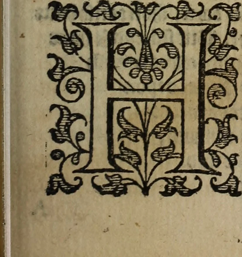An illustration from The discouerie of witchcraft, : wherein the lewde dealing of witches and witchmongers is notablie detected, the knauerie of coniurors, the impietie of inchantors, the follie of soothsaiers, the impudent falshood of cousenors, the infidelitie of atheists, the pestilent practices of Pythonists, the curiositie of figure casters, the vanitie of dreamers, the beggerlie art of alcumystrie, the abhomination of idolatrie, the horrible art of poisoning, the vertue and power of naturall magike, and all the conueiances of legierdemaine and iuggling are deciphered: and many other things opened, which have long lien hidden, howbeit verie necessarie to be knowne. : Heerevnto is added a treatise vpon the nature and substance of spirits and diuels, & c, 1584, leaf 492
