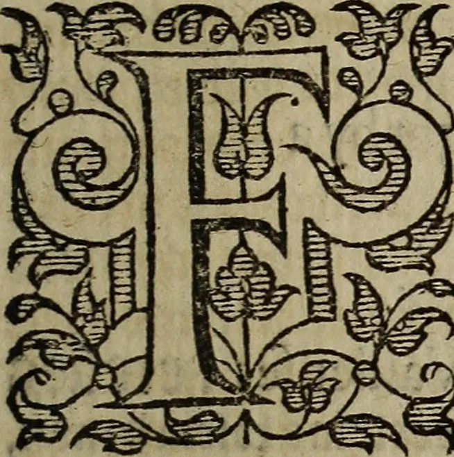 An illustration from The discouerie of witchcraft, : wherein the lewde dealing of witches and witchmongers is notablie detected, the knauerie of coniurors, the impietie of inchantors, the follie of soothsaiers, the impudent falshood of cousenors, the infidelitie of atheists, the pestilent practices of Pythonists, the curiositie of figure casters, the vanitie of dreamers, the beggerlie art of alcumystrie, the abhomination of idolatrie, the horrible art of poisoning, the vertue and power of naturall magike, and all the conueiances of legierdemaine and iuggling are deciphered: and many other things opened, which have long lien hidden, howbeit verie necessarie to be knowne. : Heerevnto is added a treatise vpon the nature and substance of spirits and diuels, & c, 1584, leaf 496