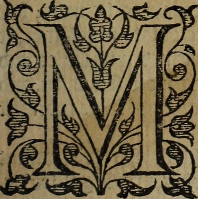 An illustration from The discouerie of witchcraft, : wherein the lewde dealing of witches and witchmongers is notablie detected, the knauerie of coniurors, the impietie of inchantors, the follie of soothsaiers, the impudent falshood of cousenors, the infidelitie of atheists, the pestilent practices of Pythonists, the curiositie of figure casters, the vanitie of dreamers, the beggerlie art of alcumystrie, the abhomination of idolatrie, the horrible art of poisoning, the vertue and power of naturall magike, and all the conueiances of legierdemaine and iuggling are deciphered: and many other things opened, which have long lien hidden, howbeit verie necessarie to be knowne. : Heerevnto is added a treatise vpon the nature and substance of spirits and diuels, & c, 1584, leaf 498