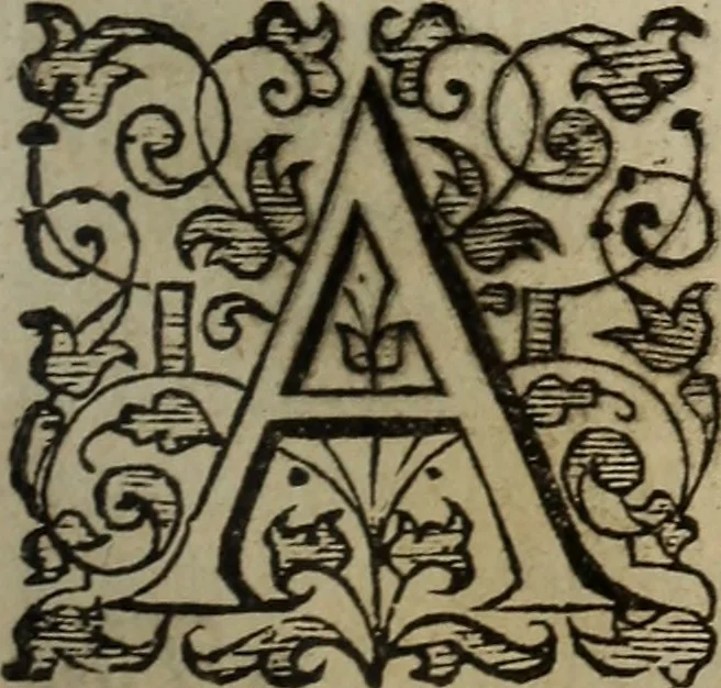 An illustration from The discouerie of witchcraft, : wherein the lewde dealing of witches and witchmongers is notablie detected, the knauerie of coniurors, the impietie of inchantors, the follie of soothsaiers, the impudent falshood of cousenors, the infidelitie of atheists, the pestilent practices of Pythonists, the curiositie of figure casters, the vanitie of dreamers, the beggerlie art of alcumystrie, the abhomination of idolatrie, the horrible art of poisoning, the vertue and power of naturall magike, and all the conueiances of legierdemaine and iuggling are deciphered: and many other things opened, which have long lien hidden, howbeit verie necessarie to be knowne. : Heerevnto is added a treatise vpon the nature and substance of spirits and diuels, & c, 1584, leaf 50