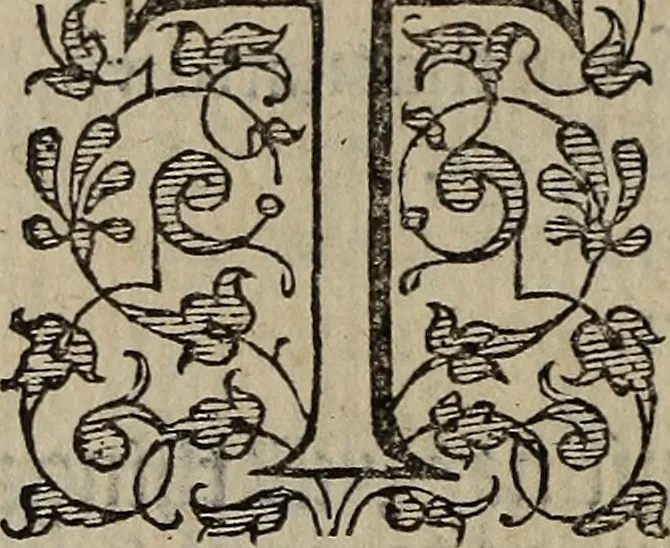 An illustration from The discouerie of witchcraft, : wherein the lewde dealing of witches and witchmongers is notablie detected, the knauerie of coniurors, the impietie of inchantors, the follie of soothsaiers, the impudent falshood of cousenors, the infidelitie of atheists, the pestilent practices of Pythonists, the curiositie of figure casters, the vanitie of dreamers, the beggerlie art of alcumystrie, the abhomination of idolatrie, the horrible art of poisoning, the vertue and power of naturall magike, and all the conueiances of legierdemaine and iuggling are deciphered: and many other things opened, which have long lien hidden, howbeit verie necessarie to be knowne. : Heerevnto is added a treatise vpon the nature and substance of spirits and diuels, & c, 1584, leaf 503