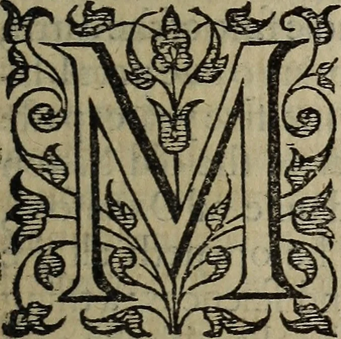 An illustration from The discouerie of witchcraft, : wherein the lewde dealing of witches and witchmongers is notablie detected, the knauerie of coniurors, the impietie of inchantors, the follie of soothsaiers, the impudent falshood of cousenors, the infidelitie of atheists, the pestilent practices of Pythonists, the curiositie of figure casters, the vanitie of dreamers, the beggerlie art of alcumystrie, the abhomination of idolatrie, the horrible art of poisoning, the vertue and power of naturall magike, and all the conueiances of legierdemaine and iuggling are deciphered: and many other things opened, which have long lien hidden, howbeit verie necessarie to be knowne. : Heerevnto is added a treatise vpon the nature and substance of spirits and diuels, & c, 1584, leaf 504
