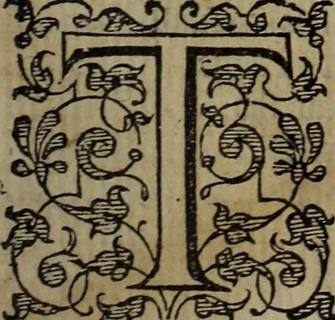 An illustration from The discouerie of witchcraft, : wherein the lewde dealing of witches and witchmongers is notablie detected, the knauerie of coniurors, the impietie of inchantors, the follie of soothsaiers, the impudent falshood of cousenors, the infidelitie of atheists, the pestilent practices of Pythonists, the curiositie of figure casters, the vanitie of dreamers, the beggerlie art of alcumystrie, the abhomination of idolatrie, the horrible art of poisoning, the vertue and power of naturall magike, and all the conueiances of legierdemaine and iuggling are deciphered: and many other things opened, which have long lien hidden, howbeit verie necessarie to be knowne. : Heerevnto is added a treatise vpon the nature and substance of spirits and diuels, & c, 1584, leaf 508