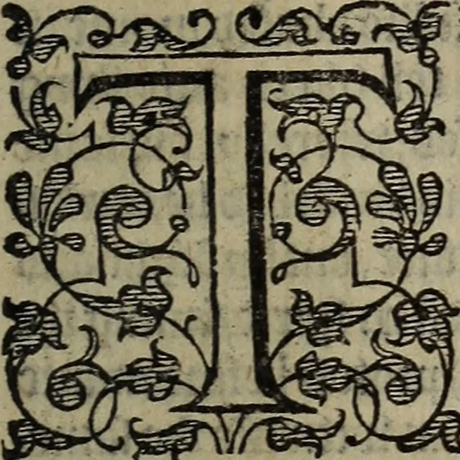 An illustration from The discouerie of witchcraft, : wherein the lewde dealing of witches and witchmongers is notablie detected, the knauerie of coniurors, the impietie of inchantors, the follie of soothsaiers, the impudent falshood of cousenors, the infidelitie of atheists, the pestilent practices of Pythonists, the curiositie of figure casters, the vanitie of dreamers, the beggerlie art of alcumystrie, the abhomination of idolatrie, the horrible art of poisoning, the vertue and power of naturall magike, and all the conueiances of legierdemaine and iuggling are deciphered: and many other things opened, which have long lien hidden, howbeit verie necessarie to be knowne. : Heerevnto is added a treatise vpon the nature and substance of spirits and diuels, & c, 1584, leaf 510