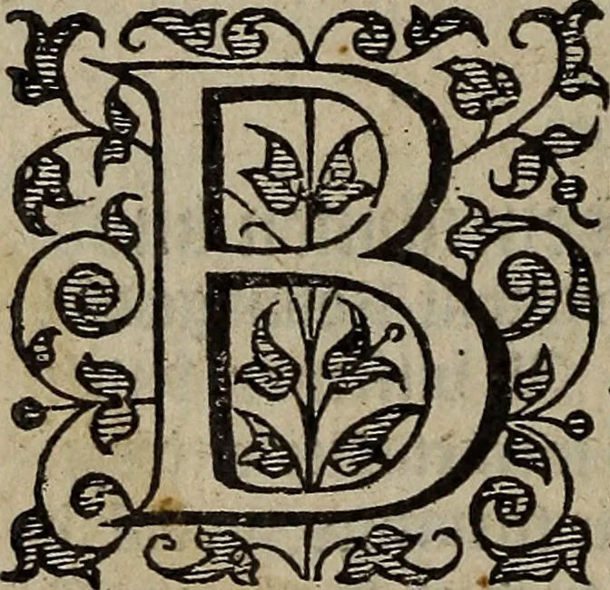 An illustration from The discouerie of witchcraft, : wherein the lewde dealing of witches and witchmongers is notablie detected, the knauerie of coniurors, the impietie of inchantors, the follie of soothsaiers, the impudent falshood of cousenors, the infidelitie of atheists, the pestilent practices of Pythonists, the curiositie of figure casters, the vanitie of dreamers, the beggerlie art of alcumystrie, the abhomination of idolatrie, the horrible art of poisoning, the vertue and power of naturall magike, and all the conueiances of legierdemaine and iuggling are deciphered: and many other things opened, which have long lien hidden, howbeit verie necessarie to be knowne. : Heerevnto is added a treatise vpon the nature and substance of spirits and diuels, & c, 1584, leaf 521