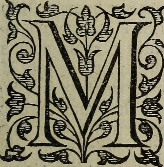 An illustration from The discouerie of witchcraft, : wherein the lewde dealing of witches and witchmongers is notablie detected, the knauerie of coniurors, the impietie of inchantors, the follie of soothsaiers, the impudent falshood of cousenors, the infidelitie of atheists, the pestilent practices of Pythonists, the curiositie of figure casters, the vanitie of dreamers, the beggerlie art of alcumystrie, the abhomination of idolatrie, the horrible art of poisoning, the vertue and power of naturall magike, and all the conueiances of legierdemaine and iuggling are deciphered: and many other things opened, which have long lien hidden, howbeit verie necessarie to be knowne. : Heerevnto is added a treatise vpon the nature and substance of spirits and diuels, & c, 1584, leaf 522