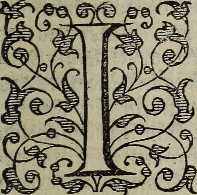 An illustration from The discouerie of witchcraft, : wherein the lewde dealing of witches and witchmongers is notablie detected, the knauerie of coniurors, the impietie of inchantors, the follie of soothsaiers, the impudent falshood of cousenors, the infidelitie of atheists, the pestilent practices of Pythonists, the curiositie of figure casters, the vanitie of dreamers, the beggerlie art of alcumystrie, the abhomination of idolatrie, the horrible art of poisoning, the vertue and power of naturall magike, and all the conueiances of legierdemaine and iuggling are deciphered: and many other things opened, which have long lien hidden, howbeit verie necessarie to be knowne. : Heerevnto is added a treatise vpon the nature and substance of spirits and diuels, & c, 1584, leaf 528