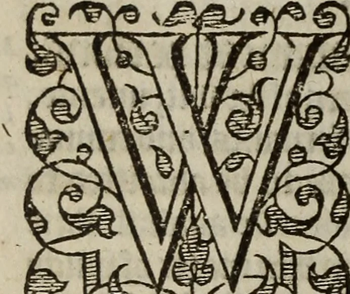 An illustration from The discouerie of witchcraft, : wherein the lewde dealing of witches and witchmongers is notablie detected, the knauerie of coniurors, the impietie of inchantors, the follie of soothsaiers, the impudent falshood of cousenors, the infidelitie of atheists, the pestilent practices of Pythonists, the curiositie of figure casters, the vanitie of dreamers, the beggerlie art of alcumystrie, the abhomination of idolatrie, the horrible art of poisoning, the vertue and power of naturall magike, and all the conueiances of legierdemaine and iuggling are deciphered: and many other things opened, which have long lien hidden, howbeit verie necessarie to be knowne. : Heerevnto is added a treatise vpon the nature and substance of spirits and diuels, & c, 1584, leaf 53