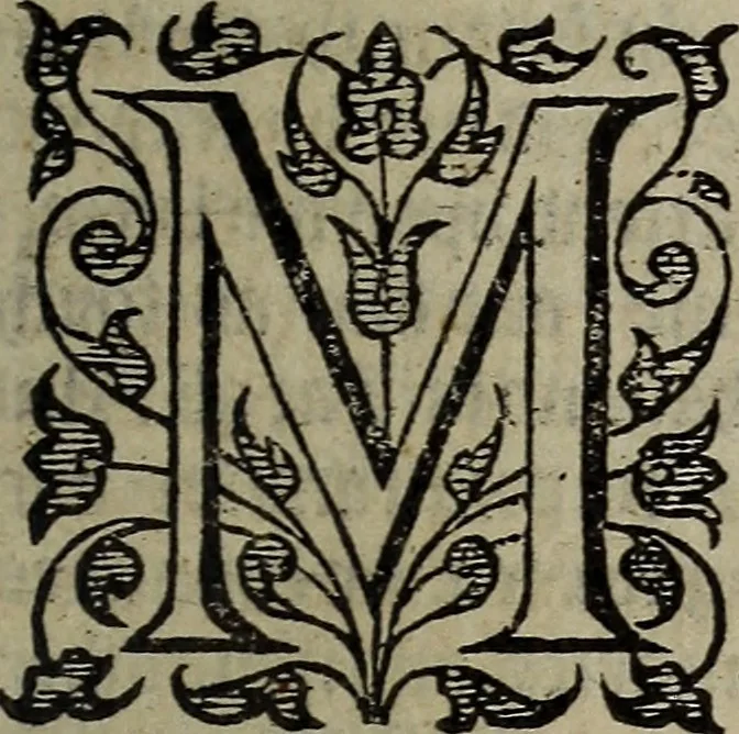 An illustration from The discouerie of witchcraft, : wherein the lewde dealing of witches and witchmongers is notablie detected, the knauerie of coniurors, the impietie of inchantors, the follie of soothsaiers, the impudent falshood of cousenors, the infidelitie of atheists, the pestilent practices of Pythonists, the curiositie of figure casters, the vanitie of dreamers, the beggerlie art of alcumystrie, the abhomination of idolatrie, the horrible art of poisoning, the vertue and power of naturall magike, and all the conueiances of legierdemaine and iuggling are deciphered: and many other things opened, which have long lien hidden, howbeit verie necessarie to be knowne. : Heerevnto is added a treatise vpon the nature and substance of spirits and diuels, & c, 1584, leaf 532