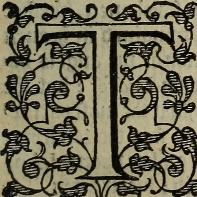 An illustration from The discouerie of witchcraft, : wherein the lewde dealing of witches and witchmongers is notablie detected, the knauerie of coniurors, the impietie of inchantors, the follie of soothsaiers, the impudent falshood of cousenors, the infidelitie of atheists, the pestilent practices of Pythonists, the curiositie of figure casters, the vanitie of dreamers, the beggerlie art of alcumystrie, the abhomination of idolatrie, the horrible art of poisoning, the vertue and power of naturall magike, and all the conueiances of legierdemaine and iuggling are deciphered: and many other things opened, which have long lien hidden, howbeit verie necessarie to be knowne. : Heerevnto is added a treatise vpon the nature and substance of spirits and diuels, & c, 1584, leaf 538