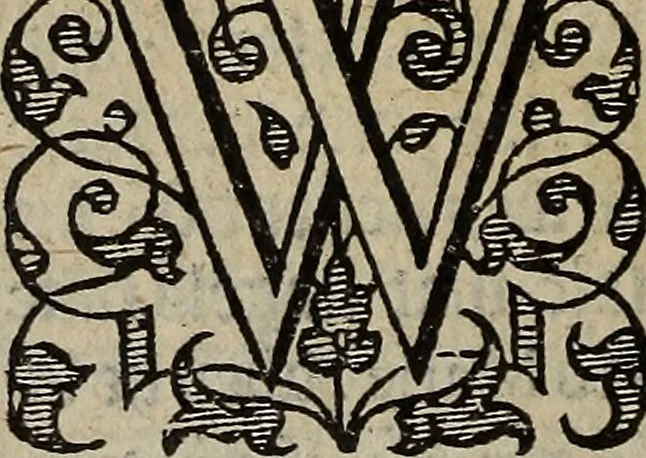 An illustration from The discouerie of witchcraft, : wherein the lewde dealing of witches and witchmongers is notablie detected, the knauerie of coniurors, the impietie of inchantors, the follie of soothsaiers, the impudent falshood of cousenors, the infidelitie of atheists, the pestilent practices of Pythonists, the curiositie of figure casters, the vanitie of dreamers, the beggerlie art of alcumystrie, the abhomination of idolatrie, the horrible art of poisoning, the vertue and power of naturall magike, and all the conueiances of legierdemaine and iuggling are deciphered: and many other things opened, which have long lien hidden, howbeit verie necessarie to be knowne. : Heerevnto is added a treatise vpon the nature and substance of spirits and diuels, & c, 1584, leaf 543