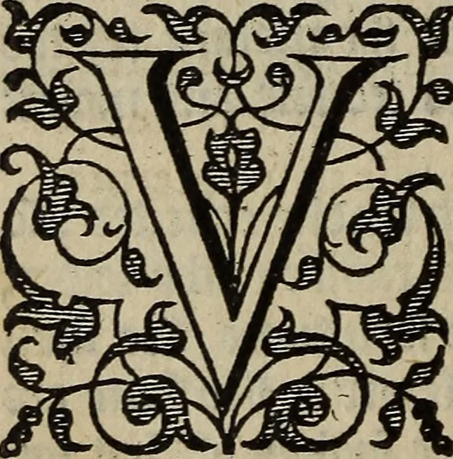 An illustration from The discouerie of witchcraft, : wherein the lewde dealing of witches and witchmongers is notablie detected, the knauerie of coniurors, the impietie of inchantors, the follie of soothsaiers, the impudent falshood of cousenors, the infidelitie of atheists, the pestilent practices of Pythonists, the curiositie of figure casters, the vanitie of dreamers, the beggerlie art of alcumystrie, the abhomination of idolatrie, the horrible art of poisoning, the vertue and power of naturall magike, and all the conueiances of legierdemaine and iuggling are deciphered: and many other things opened, which have long lien hidden, howbeit verie necessarie to be knowne. : Heerevnto is added a treatise vpon the nature and substance of spirits and diuels, & c, 1584, leaf 545
