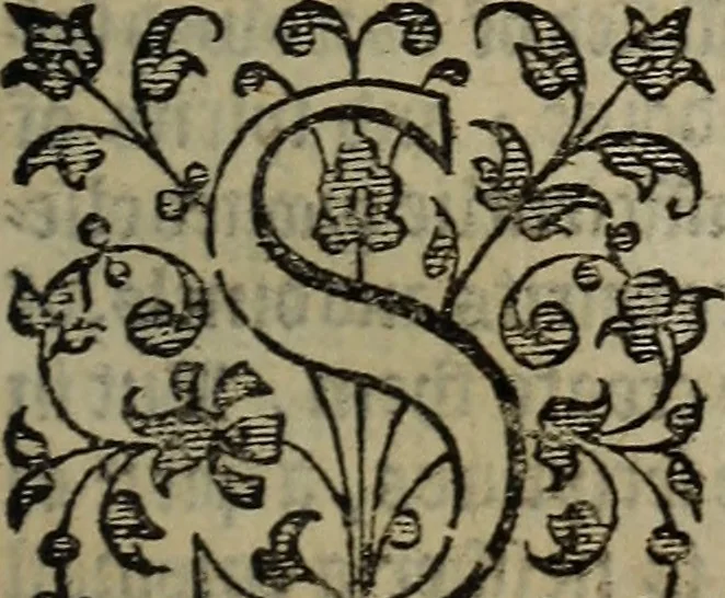 An illustration from The discouerie of witchcraft, : wherein the lewde dealing of witches and witchmongers is notablie detected, the knauerie of coniurors, the impietie of inchantors, the follie of soothsaiers, the impudent falshood of cousenors, the infidelitie of atheists, the pestilent practices of Pythonists, the curiositie of figure casters, the vanitie of dreamers, the beggerlie art of alcumystrie, the abhomination of idolatrie, the horrible art of poisoning, the vertue and power of naturall magike, and all the conueiances of legierdemaine and iuggling are deciphered: and many other things opened, which have long lien hidden, howbeit verie necessarie to be knowne. : Heerevnto is added a treatise vpon the nature and substance of spirits and diuels, & c, 1584, leaf 546
