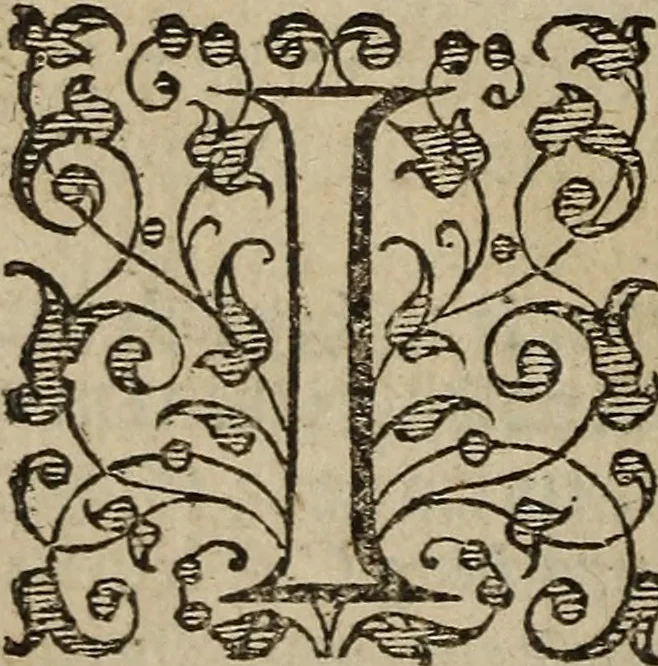 An illustration from The discouerie of witchcraft, : wherein the lewde dealing of witches and witchmongers is notablie detected, the knauerie of coniurors, the impietie of inchantors, the follie of soothsaiers, the impudent falshood of cousenors, the infidelitie of atheists, the pestilent practices of Pythonists, the curiositie of figure casters, the vanitie of dreamers, the beggerlie art of alcumystrie, the abhomination of idolatrie, the horrible art of poisoning, the vertue and power of naturall magike, and all the conueiances of legierdemaine and iuggling are deciphered: and many other things opened, which have long lien hidden, howbeit verie necessarie to be knowne. : Heerevnto is added a treatise vpon the nature and substance of spirits and diuels, & c, 1584, leaf 55