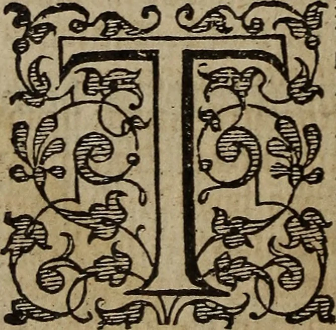 An illustration from The discouerie of witchcraft, : wherein the lewde dealing of witches and witchmongers is notablie detected, the knauerie of coniurors, the impietie of inchantors, the follie of soothsaiers, the impudent falshood of cousenors, the infidelitie of atheists, the pestilent practices of Pythonists, the curiositie of figure casters, the vanitie of dreamers, the beggerlie art of alcumystrie, the abhomination of idolatrie, the horrible art of poisoning, the vertue and power of naturall magike, and all the conueiances of legierdemaine and iuggling are deciphered: and many other things opened, which have long lien hidden, howbeit verie necessarie to be knowne. : Heerevnto is added a treatise vpon the nature and substance of spirits and diuels, & c, 1584, leaf 551