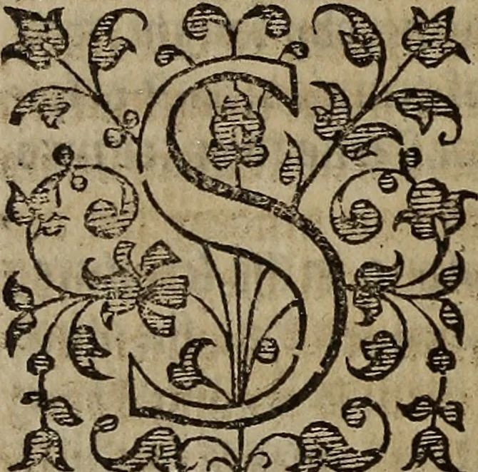An illustration from The discouerie of witchcraft, : wherein the lewde dealing of witches and witchmongers is notablie detected, the knauerie of coniurors, the impietie of inchantors, the follie of soothsaiers, the impudent falshood of cousenors, the infidelitie of atheists, the pestilent practices of Pythonists, the curiositie of figure casters, the vanitie of dreamers, the beggerlie art of alcumystrie, the abhomination of idolatrie, the horrible art of poisoning, the vertue and power of naturall magike, and all the conueiances of legierdemaine and iuggling are deciphered: and many other things opened, which have long lien hidden, howbeit verie necessarie to be knowne. : Heerevnto is added a treatise vpon the nature and substance of spirits and diuels, & c, 1584, leaf 553