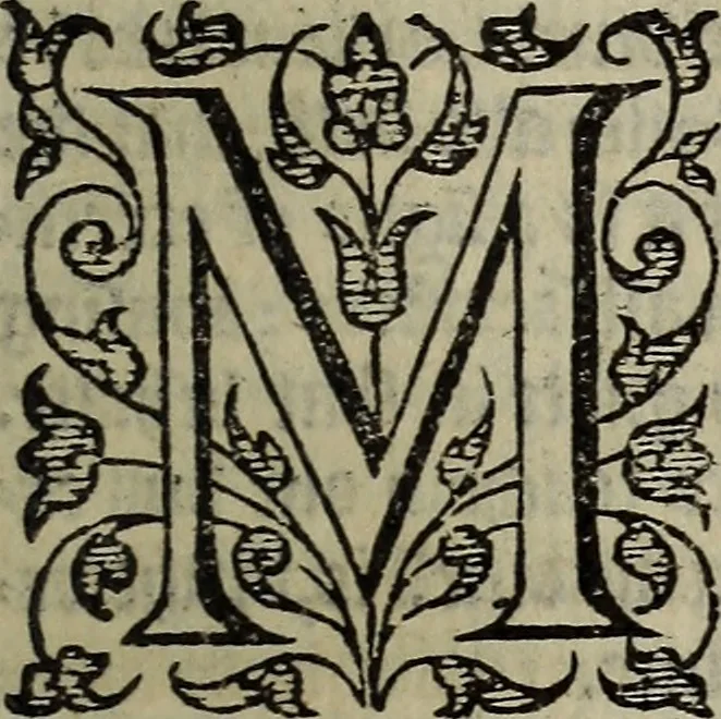 An illustration from The discouerie of witchcraft, : wherein the lewde dealing of witches and witchmongers is notablie detected, the knauerie of coniurors, the impietie of inchantors, the follie of soothsaiers, the impudent falshood of cousenors, the infidelitie of atheists, the pestilent practices of Pythonists, the curiositie of figure casters, the vanitie of dreamers, the beggerlie art of alcumystrie, the abhomination of idolatrie, the horrible art of poisoning, the vertue and power of naturall magike, and all the conueiances of legierdemaine and iuggling are deciphered: and many other things opened, which have long lien hidden, howbeit verie necessarie to be knowne. : Heerevnto is added a treatise vpon the nature and substance of spirits and diuels, & c, 1584, leaf 554