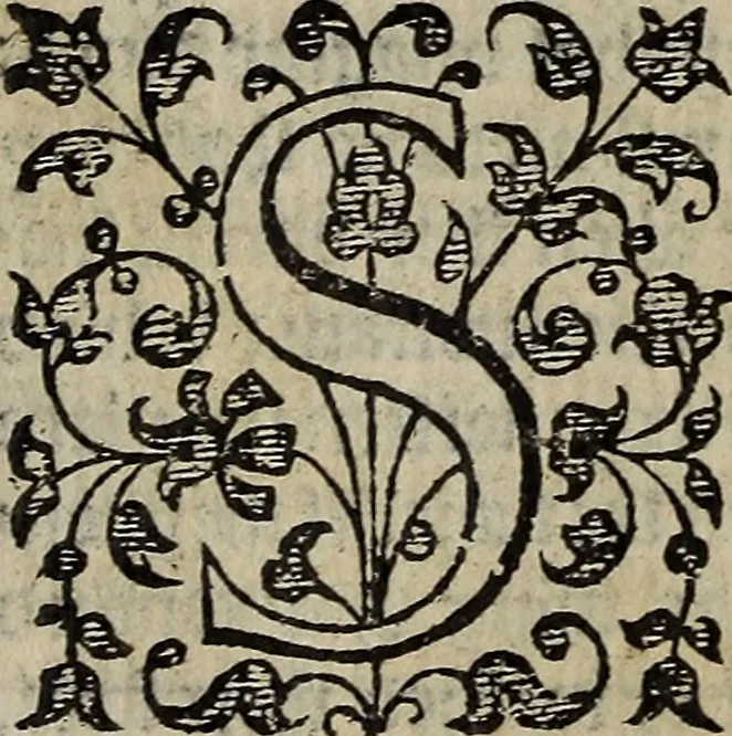 An illustration from The discouerie of witchcraft, : wherein the lewde dealing of witches and witchmongers is notablie detected, the knauerie of coniurors, the impietie of inchantors, the follie of soothsaiers, the impudent falshood of cousenors, the infidelitie of atheists, the pestilent practices of Pythonists, the curiositie of figure casters, the vanitie of dreamers, the beggerlie art of alcumystrie, the abhomination of idolatrie, the horrible art of poisoning, the vertue and power of naturall magike, and all the conueiances of legierdemaine and iuggling are deciphered: and many other things opened, which have long lien hidden, howbeit verie necessarie to be knowne. : Heerevnto is added a treatise vpon the nature and substance of spirits and diuels, & c, 1584, leaf 555