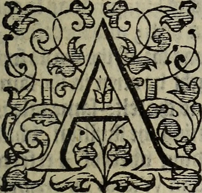 An illustration from The discouerie of witchcraft, : wherein the lewde dealing of witches and witchmongers is notablie detected, the knauerie of coniurors, the impietie of inchantors, the follie of soothsaiers, the impudent falshood of cousenors, the infidelitie of atheists, the pestilent practices of Pythonists, the curiositie of figure casters, the vanitie of dreamers, the beggerlie art of alcumystrie, the abhomination of idolatrie, the horrible art of poisoning, the vertue and power of naturall magike, and all the conueiances of legierdemaine and iuggling are deciphered: and many other things opened, which have long lien hidden, howbeit verie necessarie to be knowne. : Heerevnto is added a treatise vpon the nature and substance of spirits and diuels, & c, 1584, leaf 558