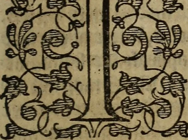 An illustration from The discouerie of witchcraft, : wherein the lewde dealing of witches and witchmongers is notablie detected, the knauerie of coniurors, the impietie of inchantors, the follie of soothsaiers, the impudent falshood of cousenors, the infidelitie of atheists, the pestilent practices of Pythonists, the curiositie of figure casters, the vanitie of dreamers, the beggerlie art of alcumystrie, the abhomination of idolatrie, the horrible art of poisoning, the vertue and power of naturall magike, and all the conueiances of legierdemaine and iuggling are deciphered: and many other things opened, which have long lien hidden, howbeit verie necessarie to be knowne. : Heerevnto is added a treatise vpon the nature and substance of spirits and diuels, & c, 1584, leaf 562