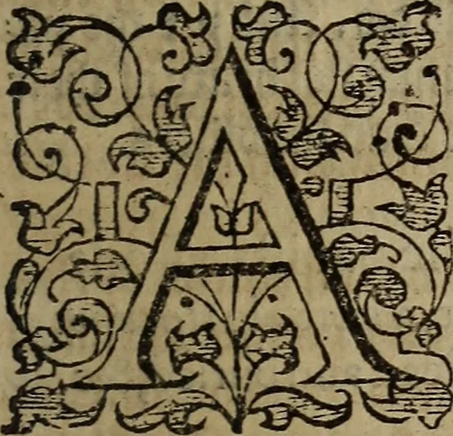 An illustration from The discouerie of witchcraft, : wherein the lewde dealing of witches and witchmongers is notablie detected, the knauerie of coniurors, the impietie of inchantors, the follie of soothsaiers, the impudent falshood of cousenors, the infidelitie of atheists, the pestilent practices of Pythonists, the curiositie of figure casters, the vanitie of dreamers, the beggerlie art of alcumystrie, the abhomination of idolatrie, the horrible art of poisoning, the vertue and power of naturall magike, and all the conueiances of legierdemaine and iuggling are deciphered: and many other things opened, which have long lien hidden, howbeit verie necessarie to be knowne. : Heerevnto is added a treatise vpon the nature and substance of spirits and diuels, & c, 1584, leaf 566