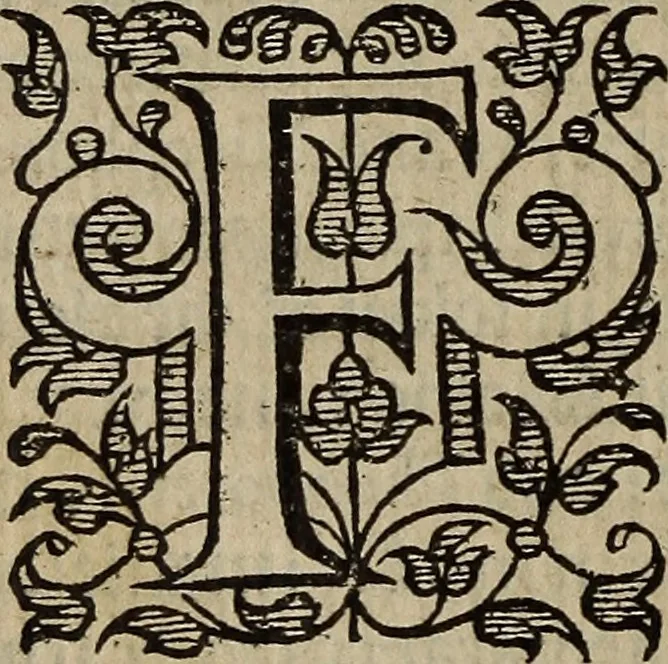 An illustration from The discouerie of witchcraft, : wherein the lewde dealing of witches and witchmongers is notablie detected, the knauerie of coniurors, the impietie of inchantors, the follie of soothsaiers, the impudent falshood of cousenors, the infidelitie of atheists, the pestilent practices of Pythonists, the curiositie of figure casters, the vanitie of dreamers, the beggerlie art of alcumystrie, the abhomination of idolatrie, the horrible art of poisoning, the vertue and power of naturall magike, and all the conueiances of legierdemaine and iuggling are deciphered: and many other things opened, which have long lien hidden, howbeit verie necessarie to be knowne. : Heerevnto is added a treatise vpon the nature and substance of spirits and diuels, & c, 1584, leaf 571