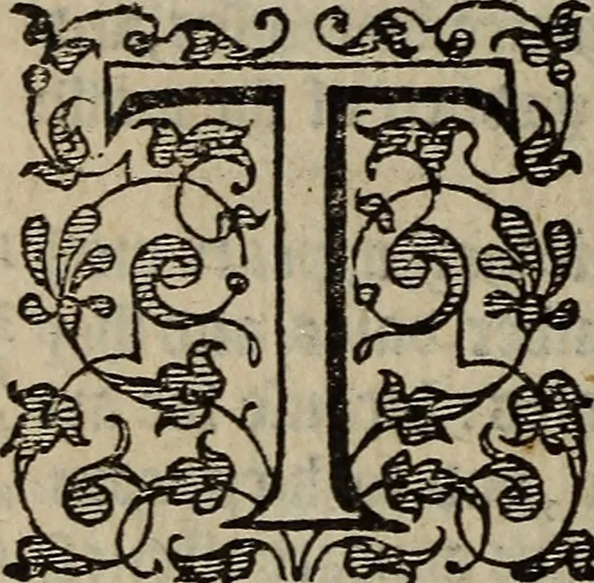 An illustration from The discouerie of witchcraft, : wherein the lewde dealing of witches and witchmongers is notablie detected, the knauerie of coniurors, the impietie of inchantors, the follie of soothsaiers, the impudent falshood of cousenors, the infidelitie of atheists, the pestilent practices of Pythonists, the curiositie of figure casters, the vanitie of dreamers, the beggerlie art of alcumystrie, the abhomination of idolatrie, the horrible art of poisoning, the vertue and power of naturall magike, and all the conueiances of legierdemaine and iuggling are deciphered: and many other things opened, which have long lien hidden, howbeit verie necessarie to be knowne. : Heerevnto is added a treatise vpon the nature and substance of spirits and diuels, & c, 1584, leaf 573