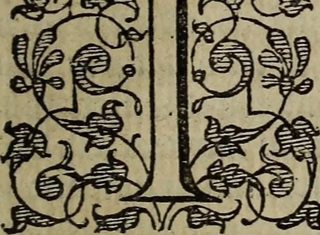 An illustration from The discouerie of witchcraft, : wherein the lewde dealing of witches and witchmongers is notablie detected, the knauerie of coniurors, the impietie of inchantors, the follie of soothsaiers, the impudent falshood of cousenors, the infidelitie of atheists, the pestilent practices of Pythonists, the curiositie of figure casters, the vanitie of dreamers, the beggerlie art of alcumystrie, the abhomination of idolatrie, the horrible art of poisoning, the vertue and power of naturall magike, and all the conueiances of legierdemaine and iuggling are deciphered: and many other things opened, which have long lien hidden, howbeit verie necessarie to be knowne. : Heerevnto is added a treatise vpon the nature and substance of spirits and diuels, & c, 1584, leaf 576