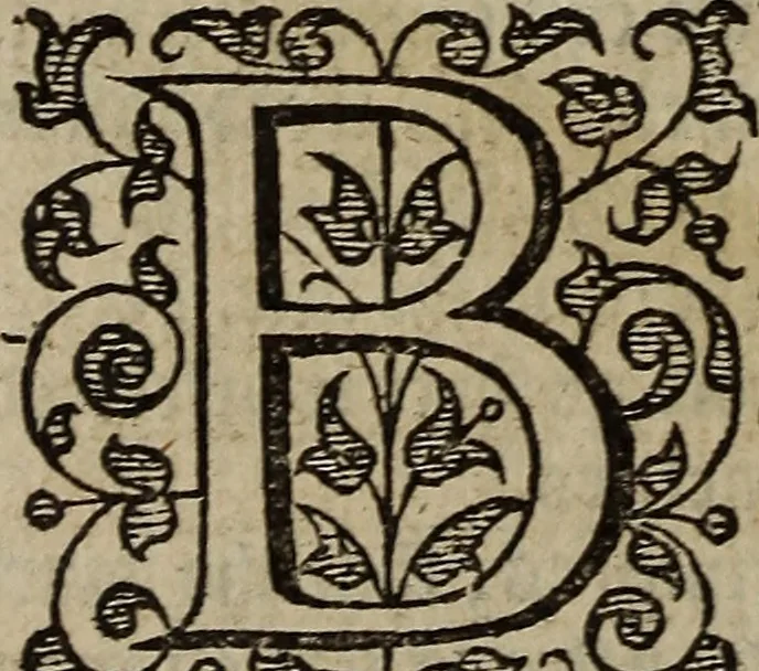 An illustration from The discouerie of witchcraft, : wherein the lewde dealing of witches and witchmongers is notablie detected, the knauerie of coniurors, the impietie of inchantors, the follie of soothsaiers, the impudent falshood of cousenors, the infidelitie of atheists, the pestilent practices of Pythonists, the curiositie of figure casters, the vanitie of dreamers, the beggerlie art of alcumystrie, the abhomination of idolatrie, the horrible art of poisoning, the vertue and power of naturall magike, and all the conueiances of legierdemaine and iuggling are deciphered: and many other things opened, which have long lien hidden, howbeit verie necessarie to be knowne. : Heerevnto is added a treatise vpon the nature and substance of spirits and diuels, & c, 1584, leaf 577