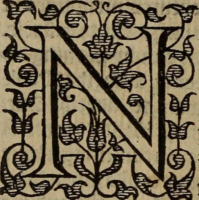 An illustration from The discouerie of witchcraft, : wherein the lewde dealing of witches and witchmongers is notablie detected, the knauerie of coniurors, the impietie of inchantors, the follie of soothsaiers, the impudent falshood of cousenors, the infidelitie of atheists, the pestilent practices of Pythonists, the curiositie of figure casters, the vanitie of dreamers, the beggerlie art of alcumystrie, the abhomination of idolatrie, the horrible art of poisoning, the vertue and power of naturall magike, and all the conueiances of legierdemaine and iuggling are deciphered: and many other things opened, which have long lien hidden, howbeit verie necessarie to be knowne. : Heerevnto is added a treatise vpon the nature and substance of spirits and diuels, & c, 1584, leaf 579