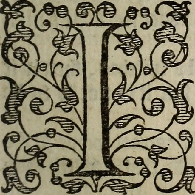 An illustration from The discouerie of witchcraft, : wherein the lewde dealing of witches and witchmongers is notablie detected, the knauerie of coniurors, the impietie of inchantors, the follie of soothsaiers, the impudent falshood of cousenors, the infidelitie of atheists, the pestilent practices of Pythonists, the curiositie of figure casters, the vanitie of dreamers, the beggerlie art of alcumystrie, the abhomination of idolatrie, the horrible art of poisoning, the vertue and power of naturall magike, and all the conueiances of legierdemaine and iuggling are deciphered: and many other things opened, which have long lien hidden, howbeit verie necessarie to be knowne. : Heerevnto is added a treatise vpon the nature and substance of spirits and diuels, & c, 1584, leaf 58