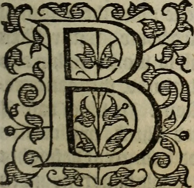 An illustration from The discouerie of witchcraft, : wherein the lewde dealing of witches and witchmongers is notablie detected, the knauerie of coniurors, the impietie of inchantors, the follie of soothsaiers, the impudent falshood of cousenors, the infidelitie of atheists, the pestilent practices of Pythonists, the curiositie of figure casters, the vanitie of dreamers, the beggerlie art of alcumystrie, the abhomination of idolatrie, the horrible art of poisoning, the vertue and power of naturall magike, and all the conueiances of legierdemaine and iuggling are deciphered: and many other things opened, which have long lien hidden, howbeit verie necessarie to be knowne. : Heerevnto is added a treatise vpon the nature and substance of spirits and diuels, & c, 1584, leaf 62