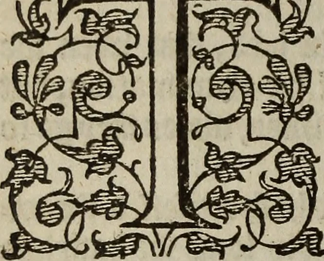 An illustration from The discouerie of witchcraft, : wherein the lewde dealing of witches and witchmongers is notablie detected, the knauerie of coniurors, the impietie of inchantors, the follie of soothsaiers, the impudent falshood of cousenors, the infidelitie of atheists, the pestilent practices of Pythonists, the curiositie of figure casters, the vanitie of dreamers, the beggerlie art of alcumystrie, the abhomination of idolatrie, the horrible art of poisoning, the vertue and power of naturall magike, and all the conueiances of legierdemaine and iuggling are deciphered: and many other things opened, which have long lien hidden, howbeit verie necessarie to be knowne. : Heerevnto is added a treatise vpon the nature and substance of spirits and diuels, & c, 1584, leaf 65