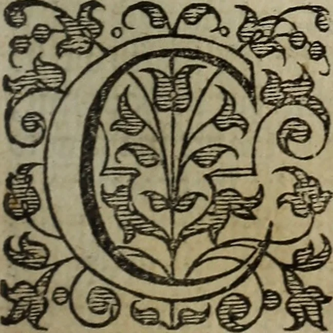 An illustration from The discouerie of witchcraft, : wherein the lewde dealing of witches and witchmongers is notablie detected, the knauerie of coniurors, the impietie of inchantors, the follie of soothsaiers, the impudent falshood of cousenors, the infidelitie of atheists, the pestilent practices of Pythonists, the curiositie of figure casters, the vanitie of dreamers, the beggerlie art of alcumystrie, the abhomination of idolatrie, the horrible art of poisoning, the vertue and power of naturall magike, and all the conueiances of legierdemaine and iuggling are deciphered: and many other things opened, which have long lien hidden, howbeit verie necessarie to be knowne. : Heerevnto is added a treatise vpon the nature and substance of spirits and diuels, & c, 1584, leaf 68