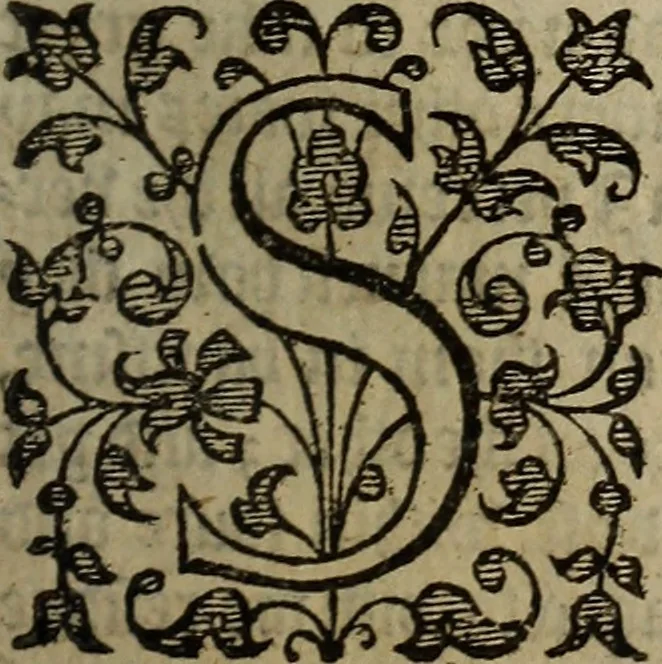An illustration from The discouerie of witchcraft, : wherein the lewde dealing of witches and witchmongers is notablie detected, the knauerie of coniurors, the impietie of inchantors, the follie of soothsaiers, the impudent falshood of cousenors, the infidelitie of atheists, the pestilent practices of Pythonists, the curiositie of figure casters, the vanitie of dreamers, the beggerlie art of alcumystrie, the abhomination of idolatrie, the horrible art of poisoning, the vertue and power of naturall magike, and all the conueiances of legierdemaine and iuggling are deciphered: and many other things opened, which have long lien hidden, howbeit verie necessarie to be knowne. : Heerevnto is added a treatise vpon the nature and substance of spirits and diuels, & c, 1584, leaf 74