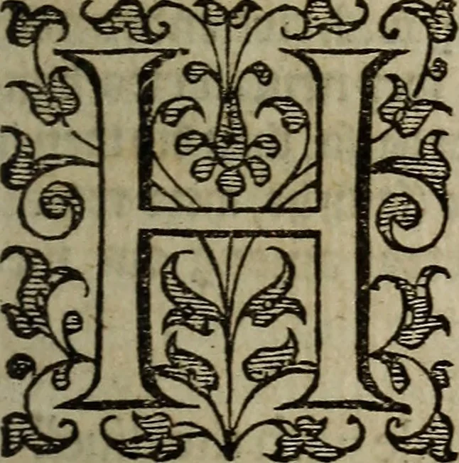 An illustration from The discouerie of witchcraft, : wherein the lewde dealing of witches and witchmongers is notablie detected, the knauerie of coniurors, the impietie of inchantors, the follie of soothsaiers, the impudent falshood of cousenors, the infidelitie of atheists, the pestilent practices of Pythonists, the curiositie of figure casters, the vanitie of dreamers, the beggerlie art of alcumystrie, the abhomination of idolatrie, the horrible art of poisoning, the vertue and power of naturall magike, and all the conueiances of legierdemaine and iuggling are deciphered: and many other things opened, which have long lien hidden, howbeit verie necessarie to be knowne. : Heerevnto is added a treatise vpon the nature and substance of spirits and diuels, & c, 1584, leaf 76