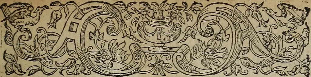 An illustration from The discouerie of witchcraft, : wherein the lewde dealing of witches and witchmongers is notablie detected, the knauerie of coniurors, the impietie of inchantors, the follie of soothsaiers, the impudent falshood of cousenors, the infidelitie of atheists, the pestilent practices of Pythonists, the curiositie of figure casters, the vanitie of dreamers, the beggerlie art of alcumystrie, the abhomination of idolatrie, the horrible art of poisoning, the vertue and power of naturall magike, and all the conueiances of legierdemaine and iuggling are deciphered: and many other things opened, which have long lien hidden, howbeit verie necessarie to be knowne. : Heerevnto is added a treatise vpon the nature and substance of spirits and diuels, & c, 1584, leaf 8