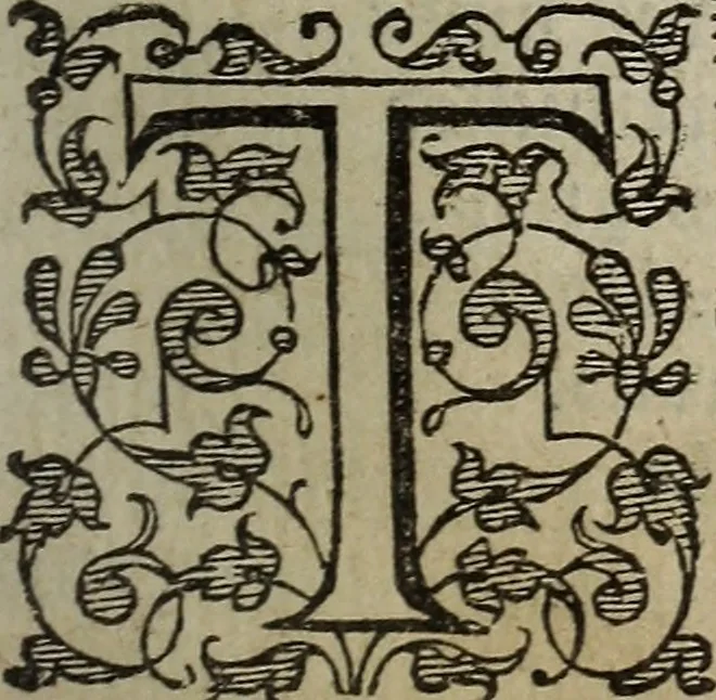 An illustration from The discouerie of witchcraft, : wherein the lewde dealing of witches and witchmongers is notablie detected, the knauerie of coniurors, the impietie of inchantors, the follie of soothsaiers, the impudent falshood of cousenors, the infidelitie of atheists, the pestilent practices of Pythonists, the curiositie of figure casters, the vanitie of dreamers, the beggerlie art of alcumystrie, the abhomination of idolatrie, the horrible art of poisoning, the vertue and power of naturall magike, and all the conueiances of legierdemaine and iuggling are deciphered: and many other things opened, which have long lien hidden, howbeit verie necessarie to be knowne. : Heerevnto is added a treatise vpon the nature and substance of spirits and diuels, & c, 1584, leaf 80