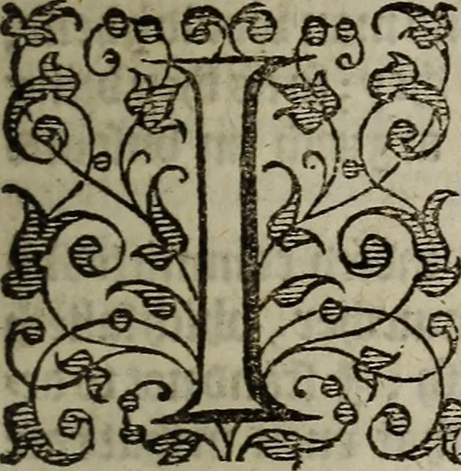 An illustration from The discouerie of witchcraft, : wherein the lewde dealing of witches and witchmongers is notablie detected, the knauerie of coniurors, the impietie of inchantors, the follie of soothsaiers, the impudent falshood of cousenors, the infidelitie of atheists, the pestilent practices of Pythonists, the curiositie of figure casters, the vanitie of dreamers, the beggerlie art of alcumystrie, the abhomination of idolatrie, the horrible art of poisoning, the vertue and power of naturall magike, and all the conueiances of legierdemaine and iuggling are deciphered: and many other things opened, which have long lien hidden, howbeit verie necessarie to be knowne. : Heerevnto is added a treatise vpon the nature and substance of spirits and diuels, & c, 1584, leaf 82