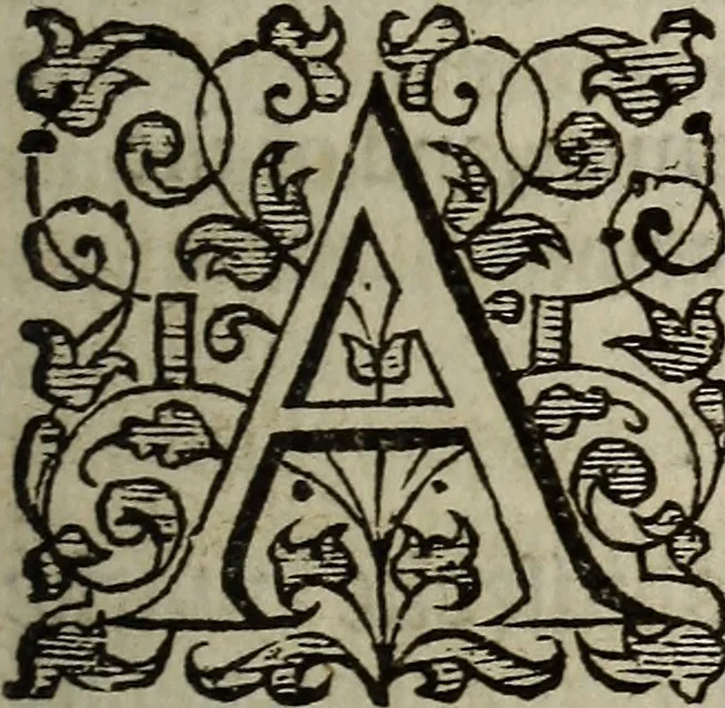 An illustration from The discouerie of witchcraft, : wherein the lewde dealing of witches and witchmongers is notablie detected, the knauerie of coniurors, the impietie of inchantors, the follie of soothsaiers, the impudent falshood of cousenors, the infidelitie of atheists, the pestilent practices of Pythonists, the curiositie of figure casters, the vanitie of dreamers, the beggerlie art of alcumystrie, the abhomination of idolatrie, the horrible art of poisoning, the vertue and power of naturall magike, and all the conueiances of legierdemaine and iuggling are deciphered: and many other things opened, which have long lien hidden, howbeit verie necessarie to be knowne. : Heerevnto is added a treatise vpon the nature and substance of spirits and diuels, & c, 1584, leaf 84