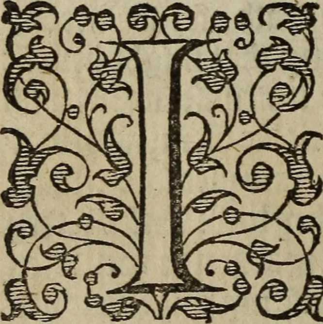 An illustration from The discouerie of witchcraft, : wherein the lewde dealing of witches and witchmongers is notablie detected, the knauerie of coniurors, the impietie of inchantors, the follie of soothsaiers, the impudent falshood of cousenors, the infidelitie of atheists, the pestilent practices of Pythonists, the curiositie of figure casters, the vanitie of dreamers, the beggerlie art of alcumystrie, the abhomination of idolatrie, the horrible art of poisoning, the vertue and power of naturall magike, and all the conueiances of legierdemaine and iuggling are deciphered: and many other things opened, which have long lien hidden, howbeit verie necessarie to be knowne. : Heerevnto is added a treatise vpon the nature and substance of spirits and diuels, & c, 1584, leaf 85