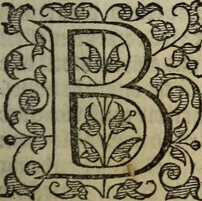 An illustration from The discouerie of witchcraft, : wherein the lewde dealing of witches and witchmongers is notablie detected, the knauerie of coniurors, the impietie of inchantors, the follie of soothsaiers, the impudent falshood of cousenors, the infidelitie of atheists, the pestilent practices of Pythonists, the curiositie of figure casters, the vanitie of dreamers, the beggerlie art of alcumystrie, the abhomination of idolatrie, the horrible art of poisoning, the vertue and power of naturall magike, and all the conueiances of legierdemaine and iuggling are deciphered: and many other things opened, which have long lien hidden, howbeit verie necessarie to be knowne. : Heerevnto is added a treatise vpon the nature and substance of spirits and diuels, & c, 1584, leaf 90