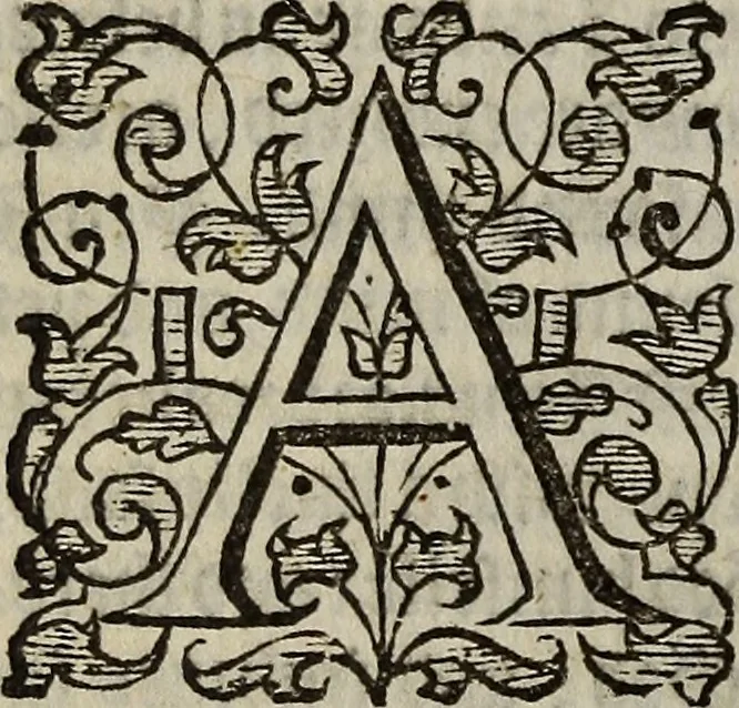 An illustration from The discouerie of witchcraft, : wherein the lewde dealing of witches and witchmongers is notablie detected, the knauerie of coniurors, the impietie of inchantors, the follie of soothsaiers, the impudent falshood of cousenors, the infidelitie of atheists, the pestilent practices of Pythonists, the curiositie of figure casters, the vanitie of dreamers, the beggerlie art of alcumystrie, the abhomination of idolatrie, the horrible art of poisoning, the vertue and power of naturall magike, and all the conueiances of legierdemaine and iuggling are deciphered: and many other things opened, which have long lien hidden, howbeit verie necessarie to be knowne. : Heerevnto is added a treatise vpon the nature and substance of spirits and diuels, & c, 1584, leaf 93