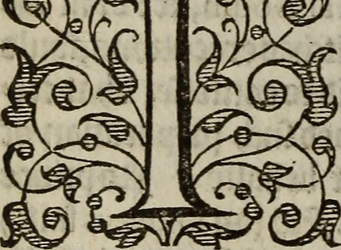 An illustration from The discouerie of witchcraft, : wherein the lewde dealing of witches and witchmongers is notablie detected, the knauerie of coniurors, the impietie of inchantors, the follie of soothsaiers, the impudent falshood of cousenors, the infidelitie of atheists, the pestilent practices of Pythonists, the curiositie of figure casters, the vanitie of dreamers, the beggerlie art of alcumystrie, the abhomination of idolatrie, the horrible art of poisoning, the vertue and power of naturall magike, and all the conueiances of legierdemaine and iuggling are deciphered: and many other things opened, which have long lien hidden, howbeit verie necessarie to be knowne. : Heerevnto is added a treatise vpon the nature and substance of spirits and diuels, & c, 1584, leaf 97